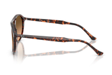 Ray-Ban Sunglass RB2215 (Pre_Booking)