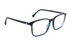 David Jones Frame 2191