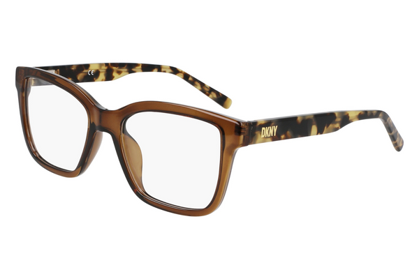 DKNY Frame 5069
