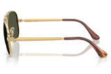 RAY-BAN Sunglasses RB3925