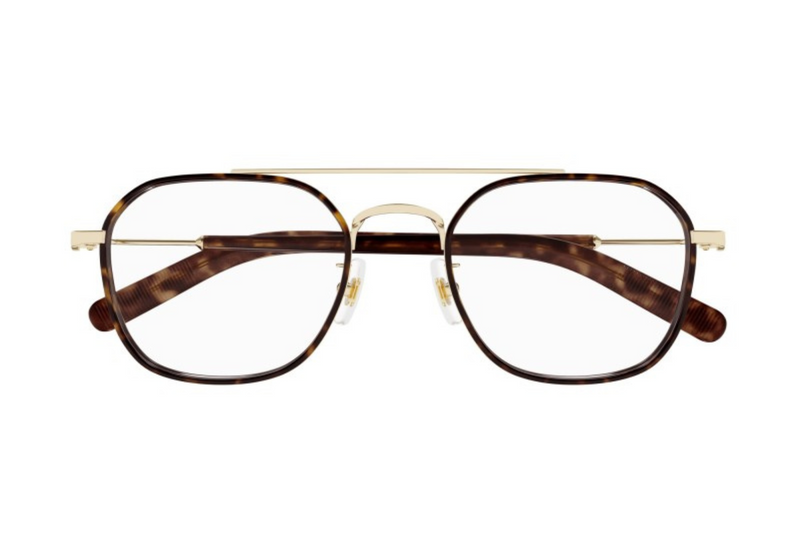 Mont Blanc Frame MB0391OA