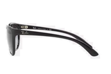Ray-Ban Sunglass RB4167( Pre_Booking)