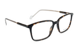 David Jones Frame 2238