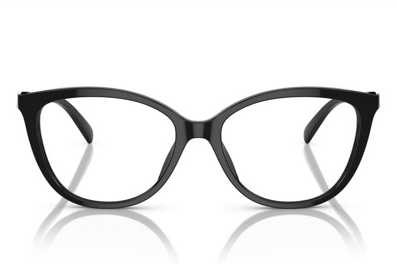 Michal Kors Frame MK4109U