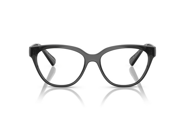 Armani Exchange AX3117U
