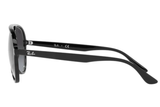 Ray-Ban Sunglass RB4376 (Pre_Booking)