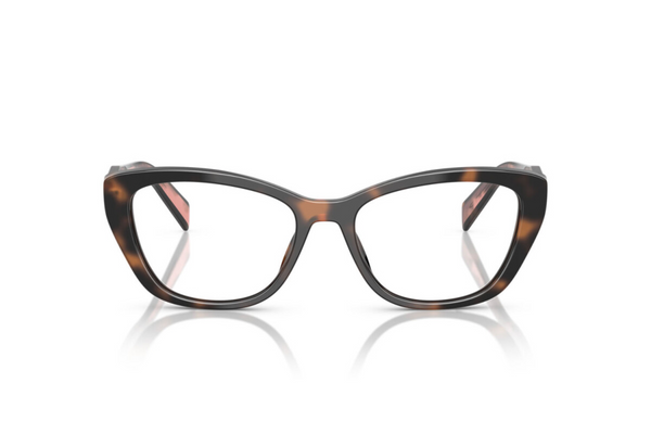 Prada Frame  PR 19WV