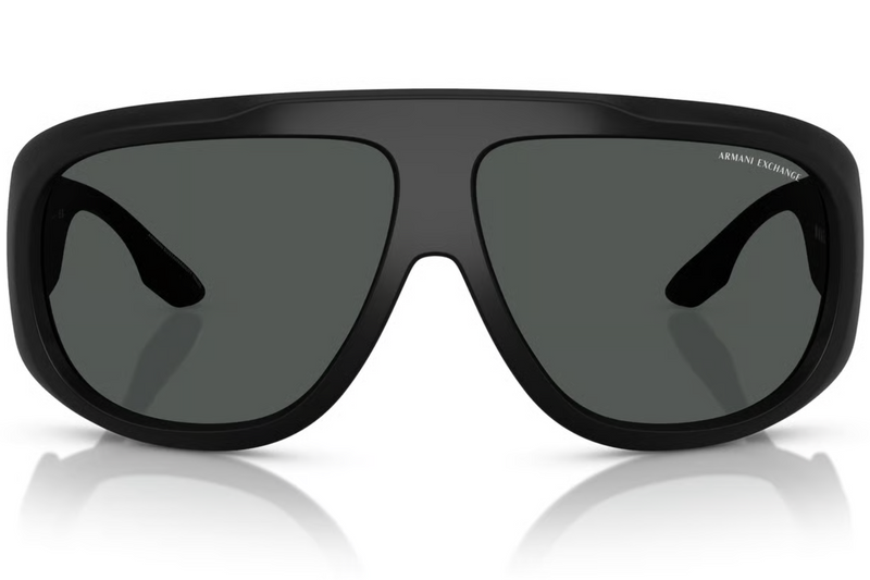 Armani Exchange Sunglasses AX4143SU