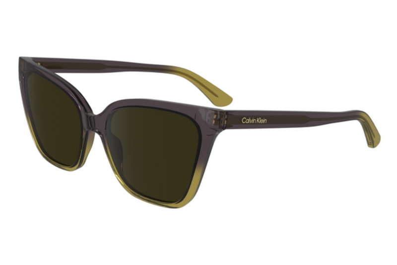 Calvin Klein Sunglasses CK24507