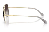 Michal Kors Sunglasses MK1172