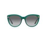 Vogue Sunglass VO5498SI