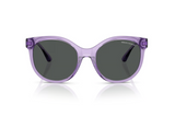 Armani Exchange Sunglasses AX4120S