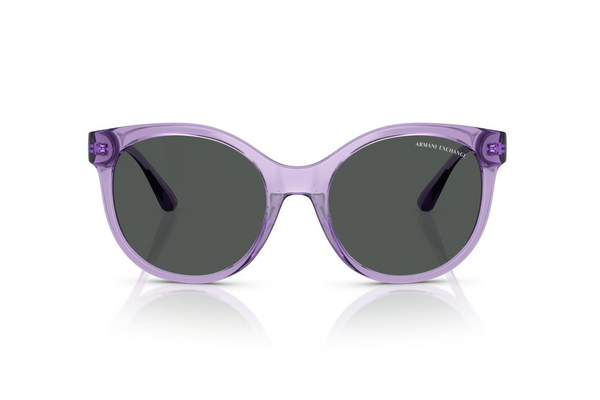 Armani Exchange Sunglasses AX4120S