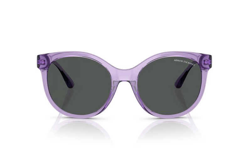 Armani Exchange Sunglasses AX4120S