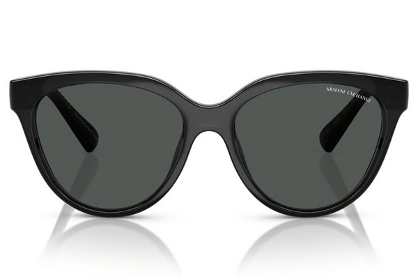 Armani Exchange Sunglasses AX4148SU