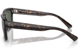 Ray-Ban Sunglass RB4396 (Pre_Booking)