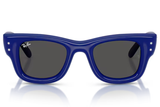 Ray-Ban Sunglass RB4940B (Pre_Booking)