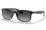 Ray-Ban Sunglass RB4202 (Pre_Booking)