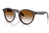 Ray-Ban Sunglass RBR0505S (Pre_Booking)