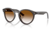 Ray-Ban Sunglass RBR0505S (Pre_Booking)