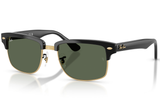 Ray-Ban Sunglass RB4190(Pre_Booking)