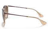 RAY-BAN Sunglasses RB4171