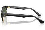 Ray-Ban Sunglass RB4190(Pre_Booking)