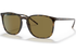Ray-Ban Sunglass RB4387 (Pre_Booking)