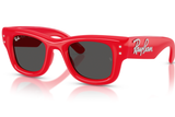 Ray-Ban Sunglass RB4940B (Pre_Booking)