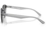 Ray-Ban Sunglass RB4458D (Pre_Booking)