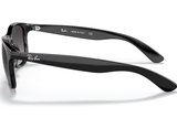 Ray-Ban Sunglass RB4202 (Pre_Booking)