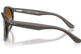 Ray-Ban Sunglass RBR0505S (Pre_Booking)