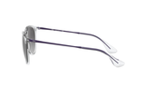 RAY-BAN Sunglasses RB4171