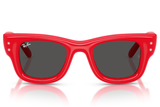 Ray-Ban Sunglass RB4940B (Pre_Booking)