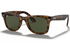 Ray-Ban Sunglass RB4340 (Pre_Booking)