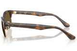 Ray-Ban Sunglass RB4190(Pre_Booking)