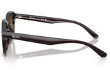 Ray-Ban Sunglass RB4458D (Pre_Booking)