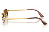 Ray-Ban Sunglass RB3927 (Pre_Booking)