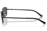 RAY-BAN Sunglasses  RB3733