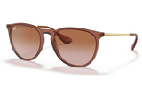 RAY-BAN Sunglasses RB4171