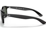 Ray-Ban Sunglass RB4202 (Pre_Booking)