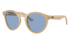Ray-Ban Sunglass RBR0505S (Pre_Booking)
