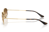 RAY-BAN Sunglasses RB3832