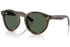 Ray-Ban Sunglass RBR0505S (Pre_Booking)