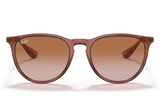 RAY-BAN Sunglasses RB4171