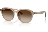 Ray-Ban Sunglass RB4459D (Pre_Booking)
