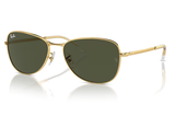 RAY-BAN Sunglasses  RB3733