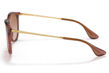 RAY-BAN Sunglasses RB4171