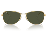 RAY-BAN Sunglasses  RB3733