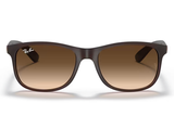 Ray-Ban Sunglass RB4202 (Pre_Booking)